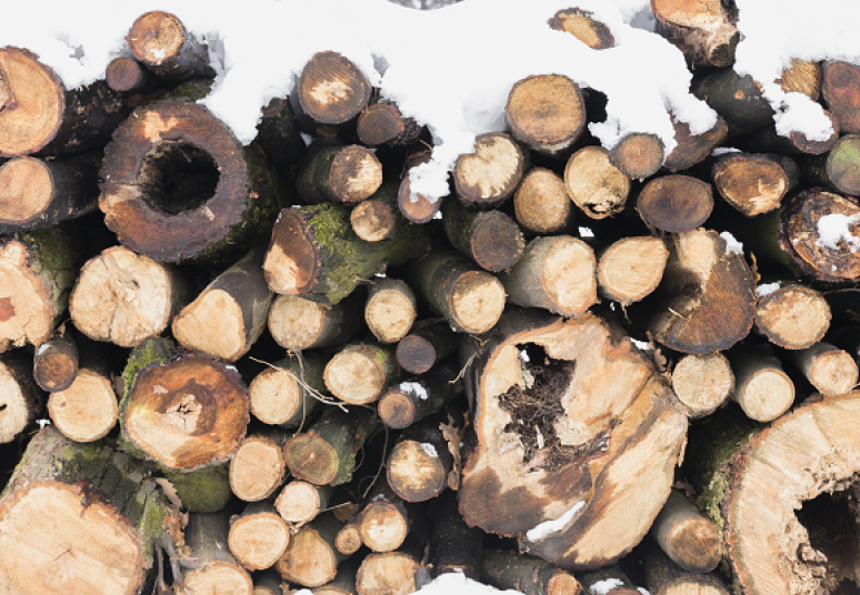 Biokuras ir nafta pigo, gamtinės dujos ir degalai brango nedaug, o elektra Lietuvoje išliko viena pigiausių regione