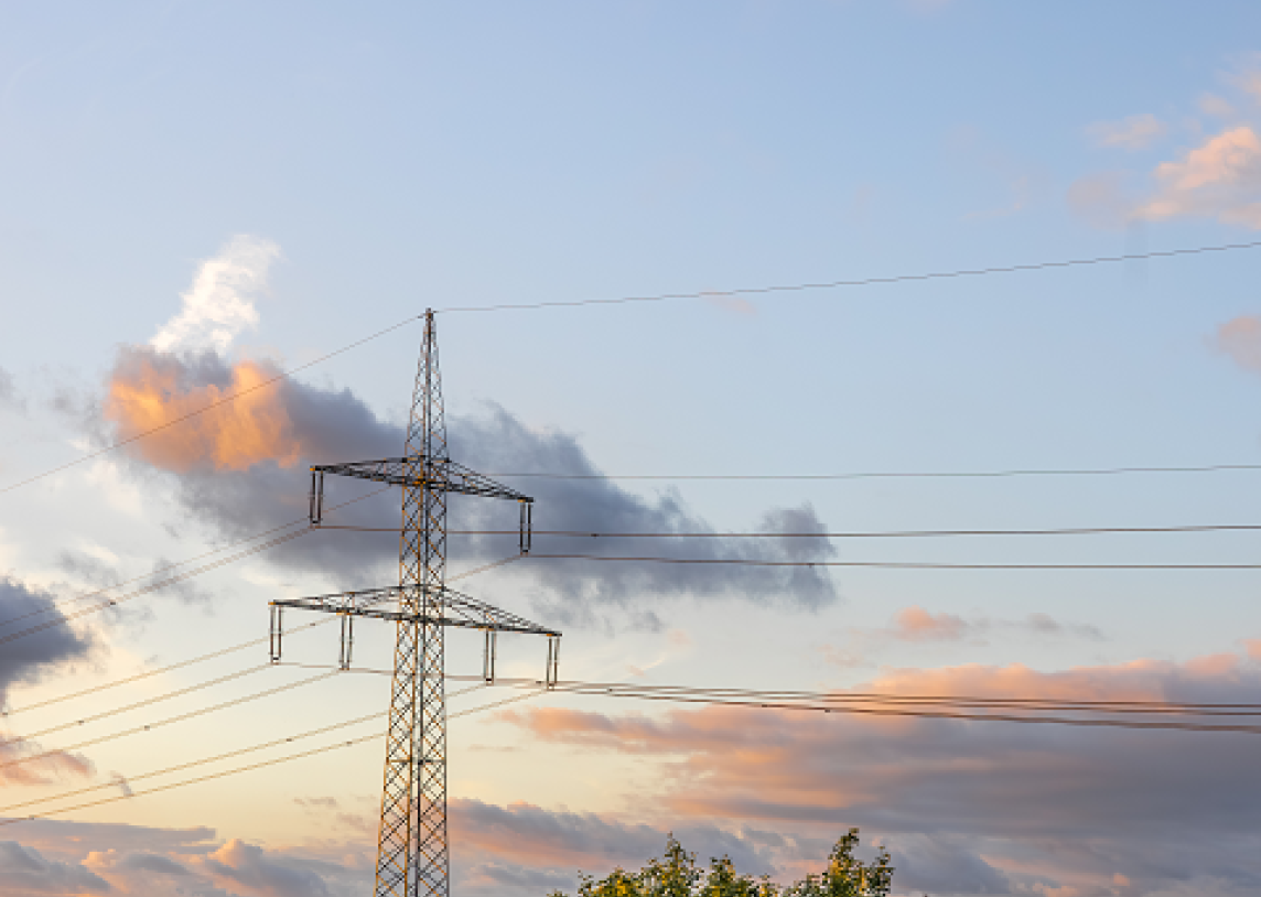 Fiksuotos elektros kainos planų tarifai per savaitę nepakito, didmeninei energijos kainai sumažėjus