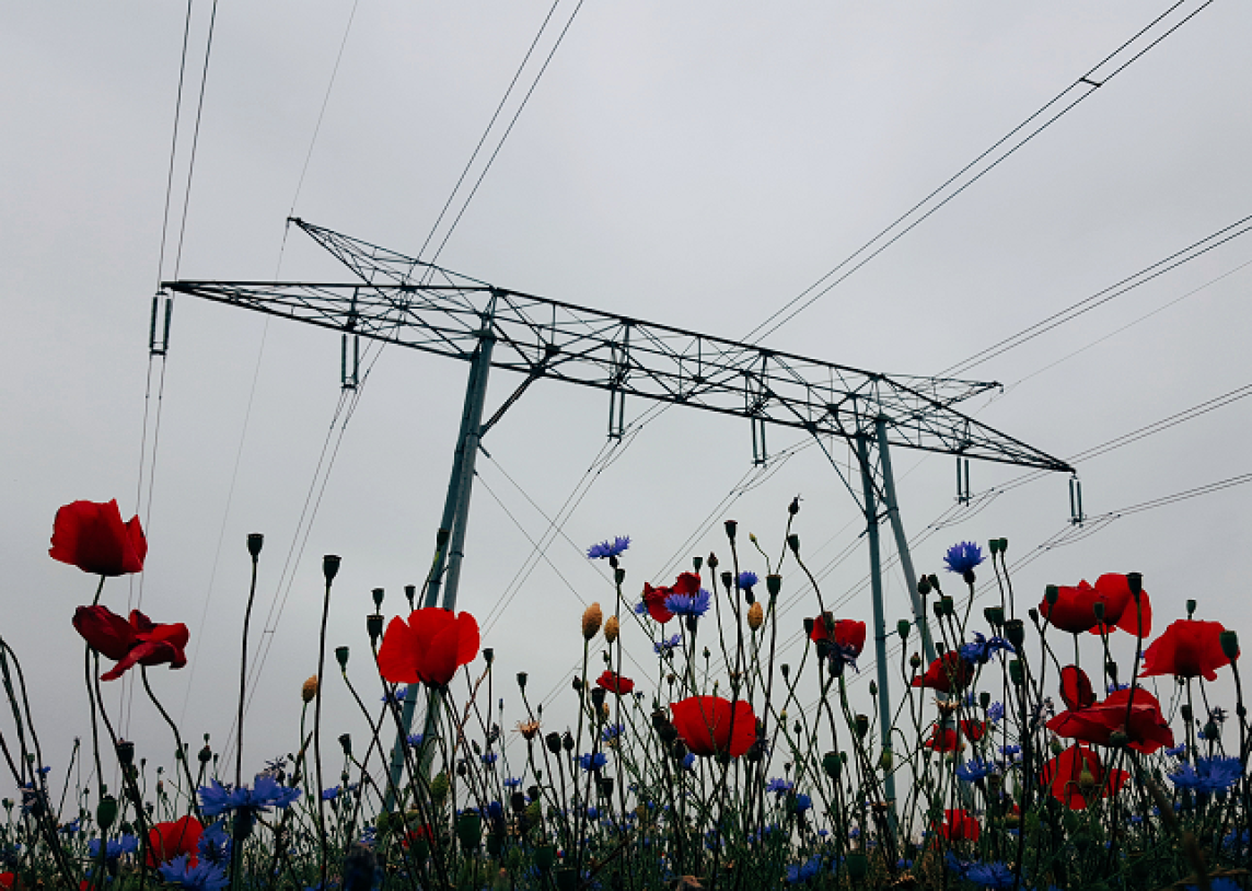 Praėjusią savaitę pigo beveik visi energijos ištekliai, nežymiai pabrango tik benzinas