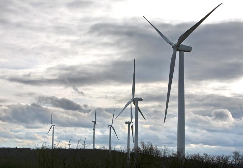 Didmeninės ir mažmeninės elektros energijos kainos mažėjo