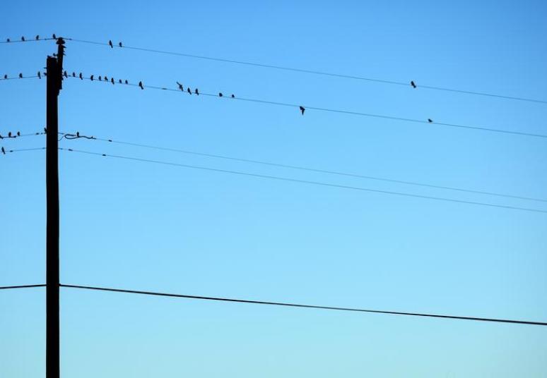 Gegužės pradžioje elektros kainos yra didesnės už balandžio mėnesio kainas, bet išlieka žemos