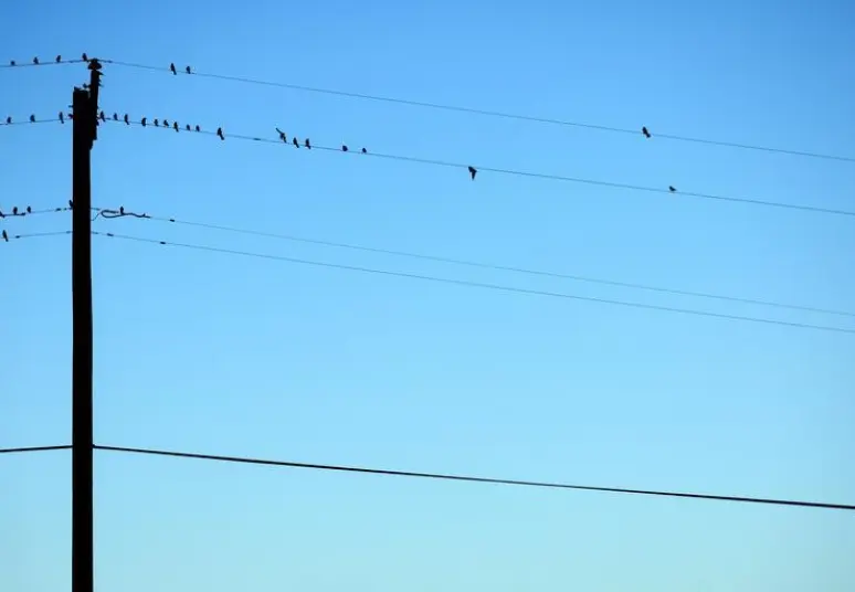 Gegužės pradžioje elektros kainos yra didesnės už balandžio mėnesio kainas, bet išlieka žemos