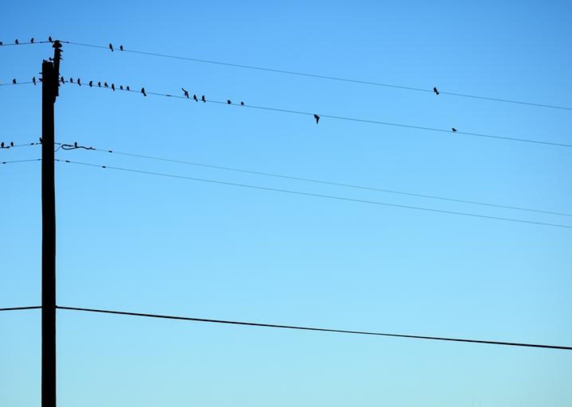 Gegužės pradžioje elektros kainos yra didesnės už balandžio mėnesio kainas, bet išlieka žemos