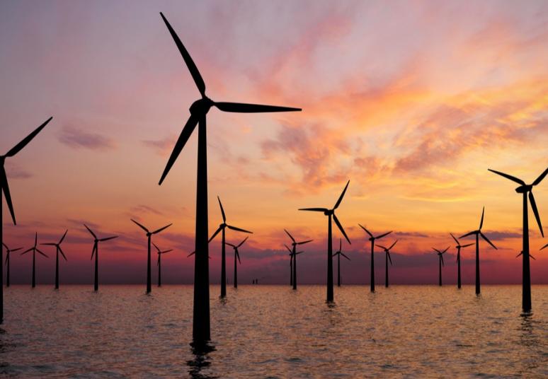 Potencialūs vėjo parko Baltijos jūroje vystytojai kviečiami į konsultacijas