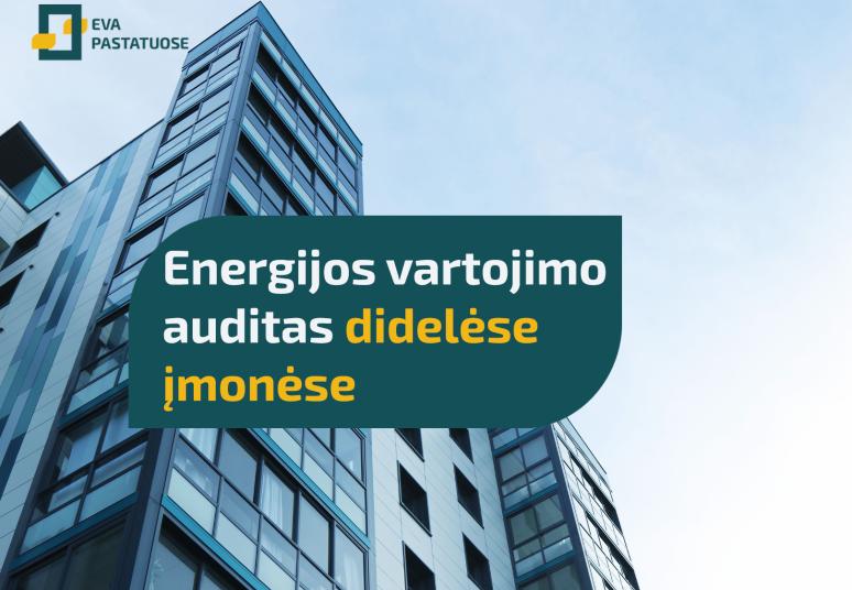 Energijos vartojimo auditas didelėse įmonėse