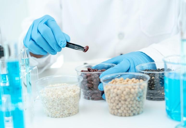 Vertinamos žaliavos biodegalams gaminti, didinant pažangiųjų biodegalų panaudojimą