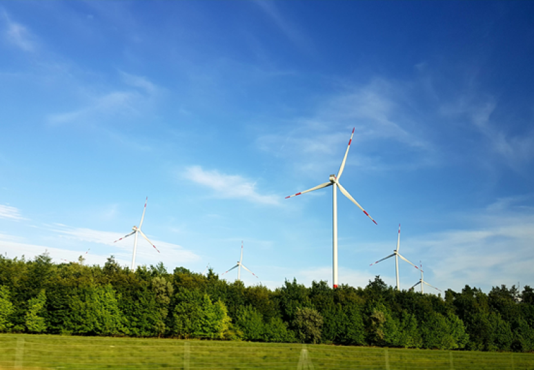 Liepą vidutinė elektros kaina buvo antra mažiausia šiemet, o elektromobiliai suvartojo daugiausiai elektros istorijoje