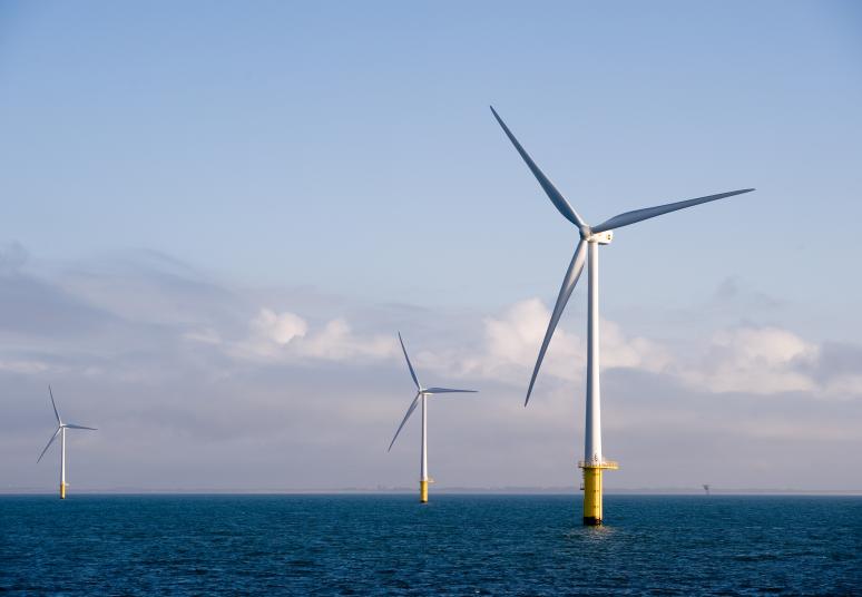 Jūros dugno tyrimų rezultatai leidžia Baltijos jūroje vystyti jūrinio vėjo elektrinių parką