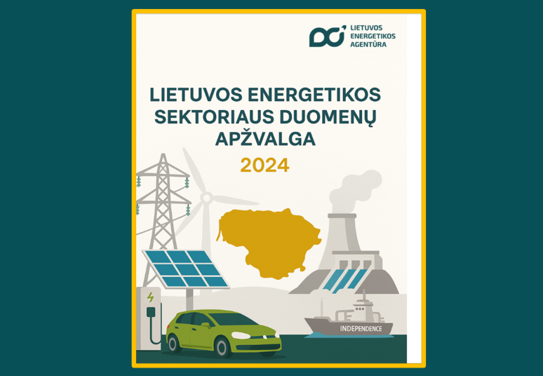 2024-ieji – saulės ir vėjo elektrinių plėtros metai