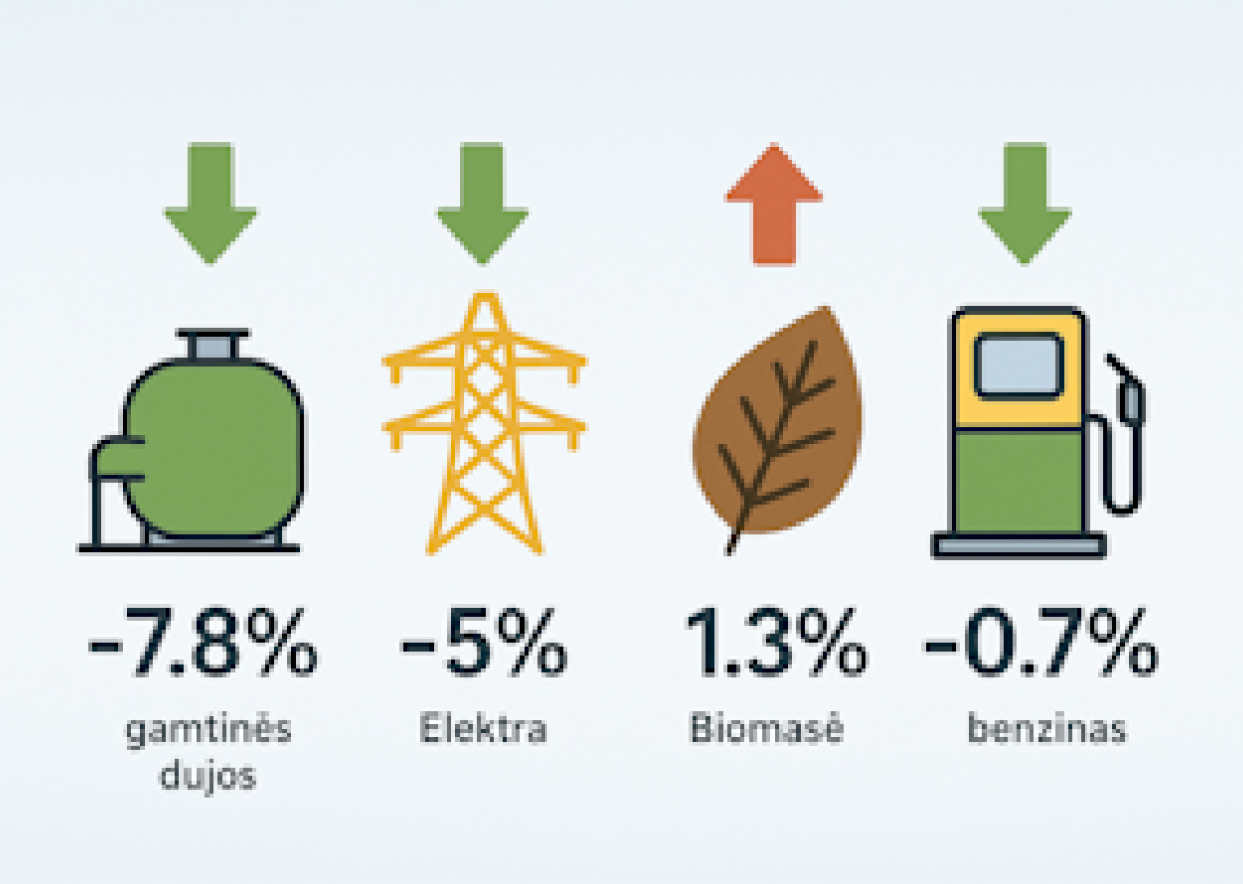 Pigo beveik visi energijos ištekliai, neženkliai pabrango tik biokuras
