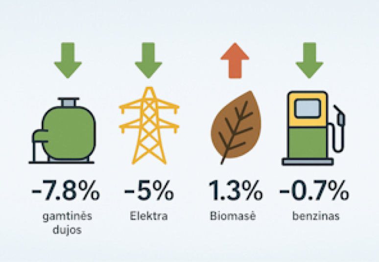 Pigo beveik visi energijos ištekliai, neženkliai pabrango tik biokuras