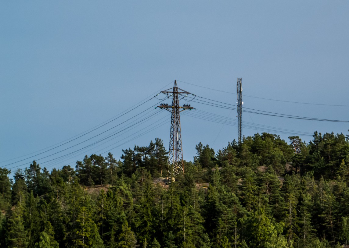 Didmeninės elektros kainų vidurkis per savaitę šoktelėjo 62,5 proc., bet biokuras mūsų šalyje vėl pigiausias