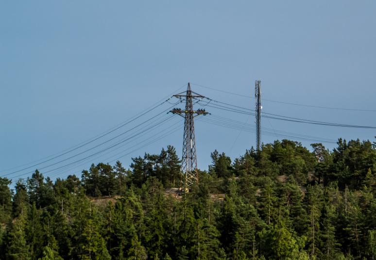 Didmeninės elektros kainų vidurkis per savaitę šoktelėjo 62,5 proc., bet biokuras mūsų šalyje vėl pigiausias