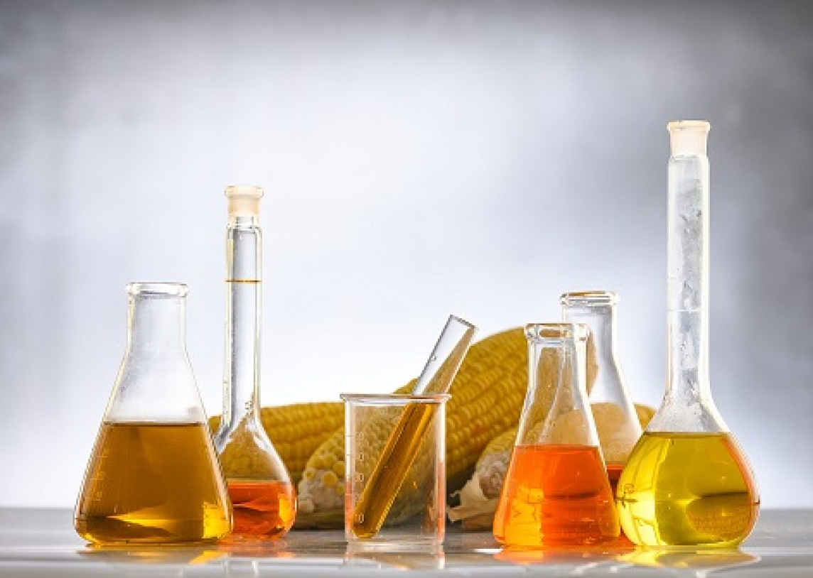 Vertinamos žaliavos biodegalams gaminti padeda mažinti taršą transporto sektoriuje