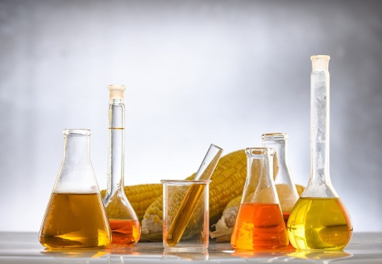 Vertinamos žaliavos biodegalams gaminti padeda mažinti taršą transporto sektoriuje