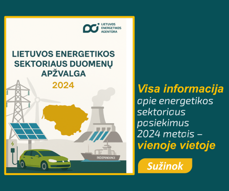 Visa info apie energetikos sektorių 2024 m.
