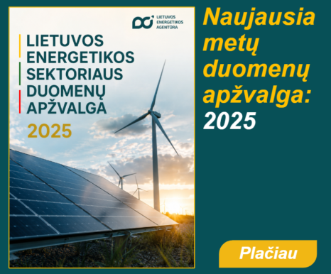 2025 m. energetikos duomenų apžvalga